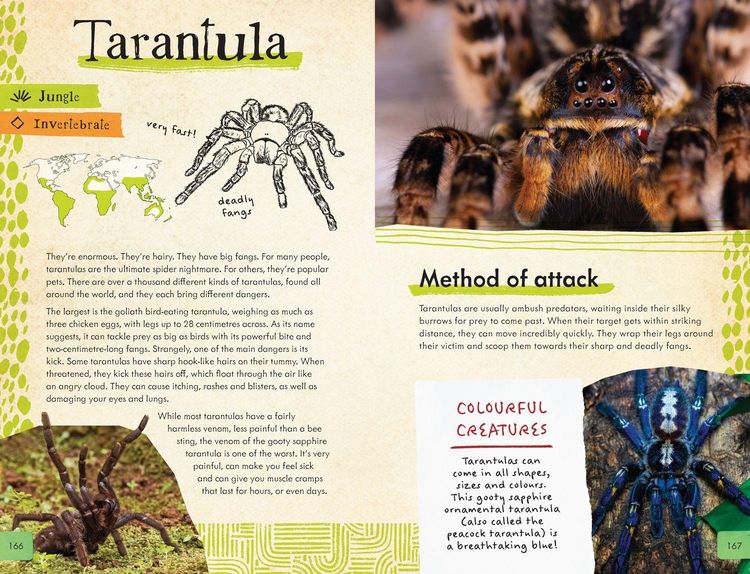 Produktbild: Dangerous Animals Survival Guide