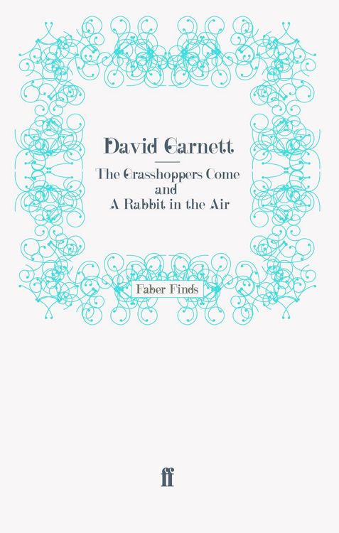 Produktbild: The Grasshoppers Come and A Rabbit in the Air