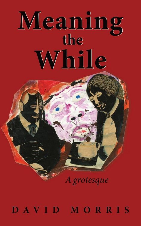 Produktbild: Meaning The While