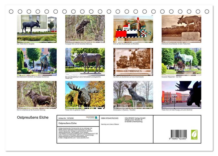 Produktbild: Ostpreu&szlig;ens Elche (Tischkalender 2026 DIN A5 quer), CALVENDO Monatskalender