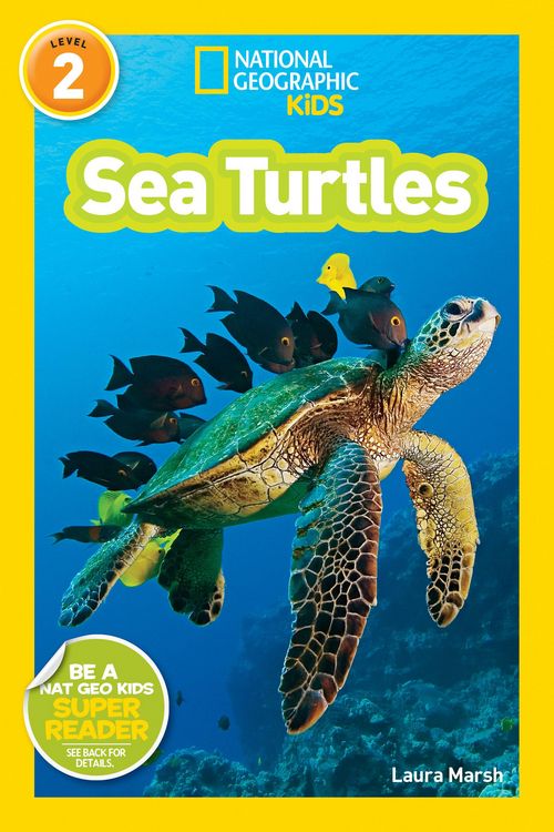 Produktbild: Sea Turtles (National Geographic Kids Readers, Level 2)