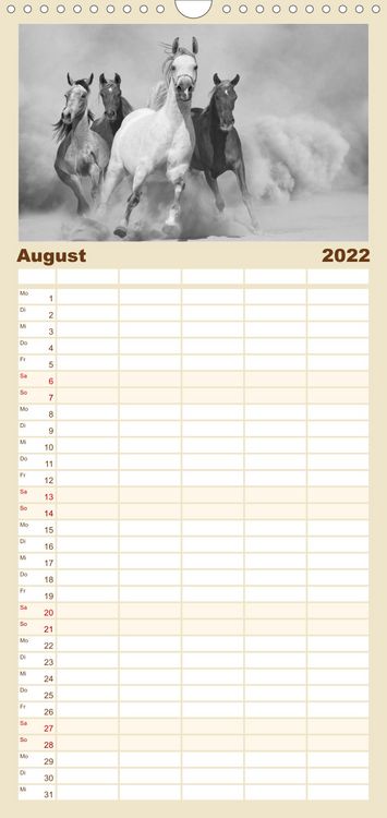 Produktbild: Familienplaner Arabische Pferde (Wandkalender 2022 , 21 cm x 45 cm, hoch)