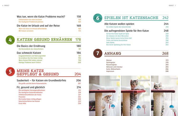 Produktbild: Praxishandbuch Katzen