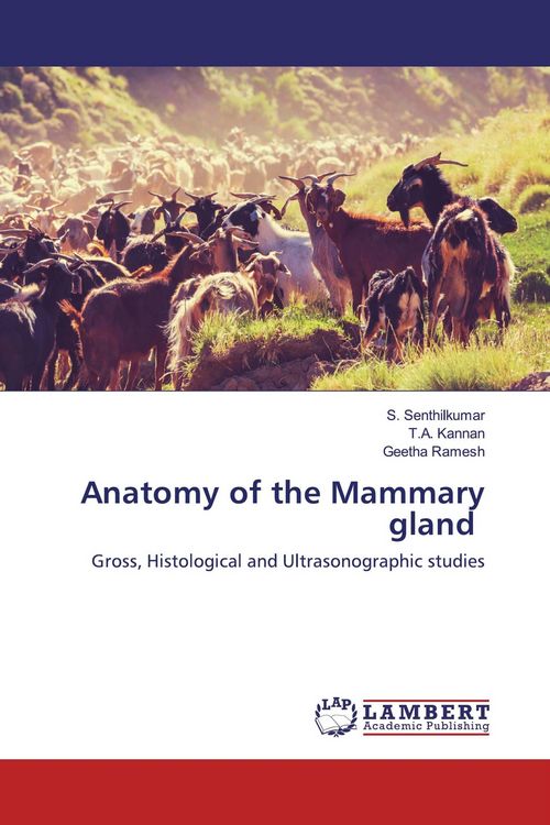Produktbild: Anatomy of the Mammary gland