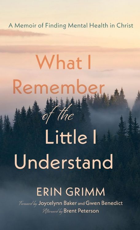 Produktbild: What I Remember of the Little I Understand