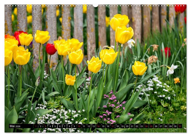 Produktbild: Kleine Blumen ganz gro&szlig; (hochwertiger Premium Wandkalender 2026 DIN A2 quer), Kunstdruck in Hochglanz