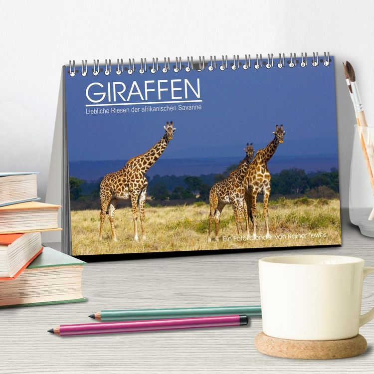 Produktbild: GIRAFFEN - Liebliche Riesen der afrikanischen Savanne (Tischkalender 2026 DIN A5 quer), CALVENDO Monatskalender