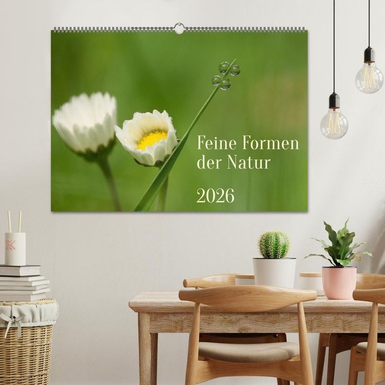 Produktbild: Feine Formen der Natur (Wandkalender 2026 DIN A2 quer), CALVENDO Monatskalender