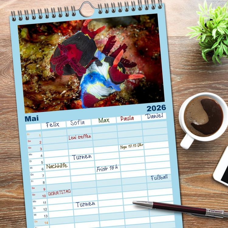 Produktbild: Familienplaner 2026 - Nudis &ndash; Die bunte Welt der Nacktschnecken mit 5 Spalten (Wandkalender, 21 x 45 cm) CALVENDO
