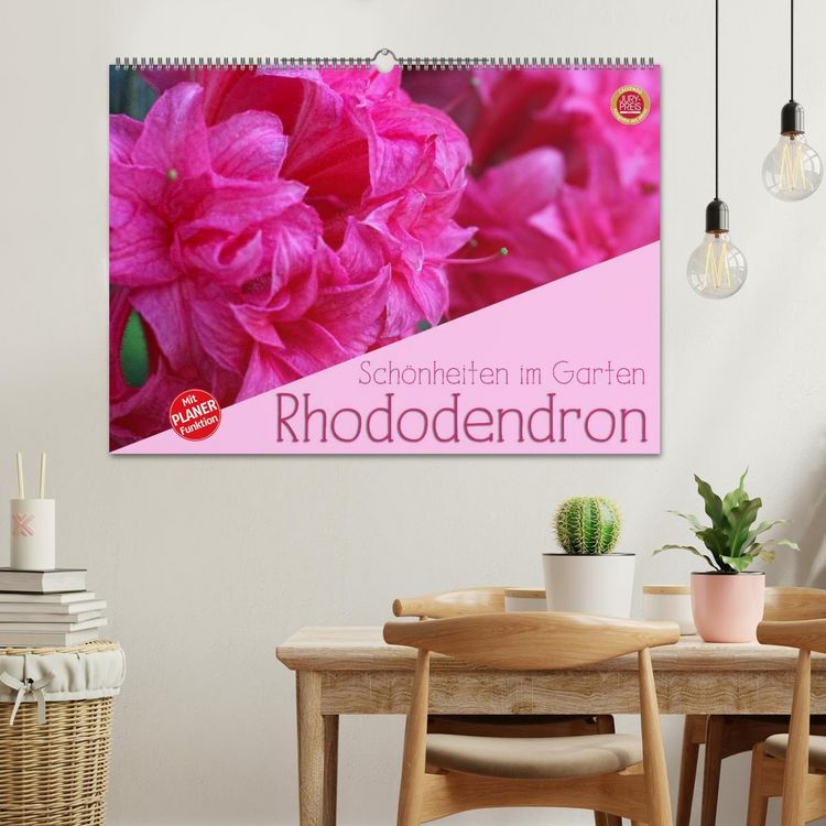Produktbild: Rhododendron Sch&ouml;nheiten im Garten (Wandkalender 2026 DIN A2 quer), CALVENDO Monatskalender