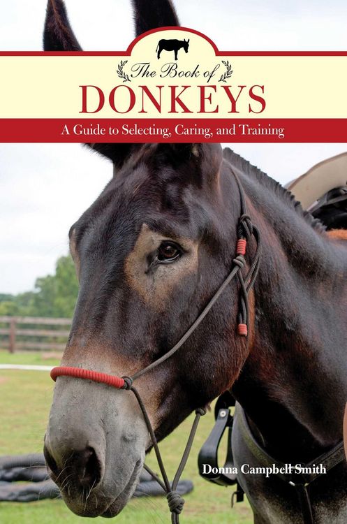 Produktbild: The Book of Donkeys