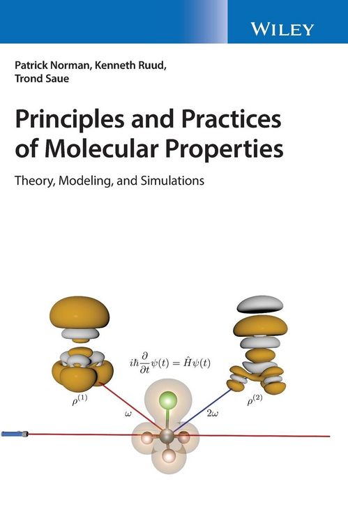 Produktbild: Principles and Practices of Molecular Properties