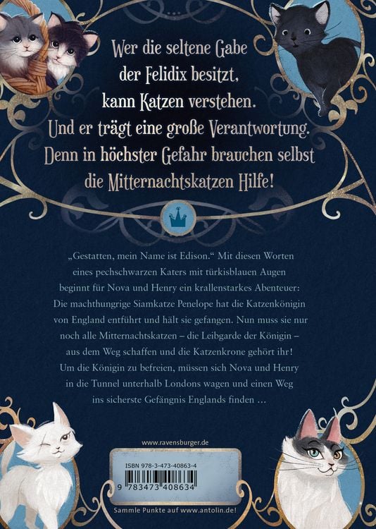 Produktbild: Mitternachtskatzen, Band 1 - Die Schule der Felidix
