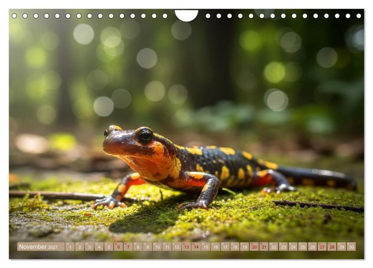 Produktbild: Gruseltiere (Wandkalender 2027 DIN A4 quer), CALVENDO Monatskalender