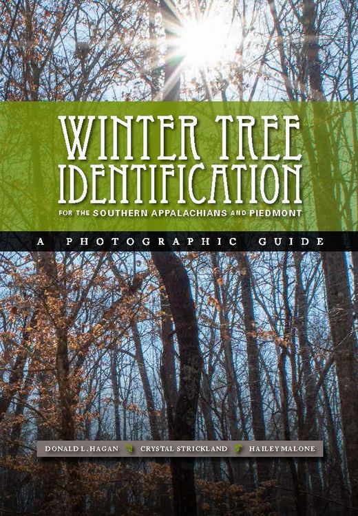 Produktbild: Winter Tree Indentification for the Southern Appalachians and Piedmont