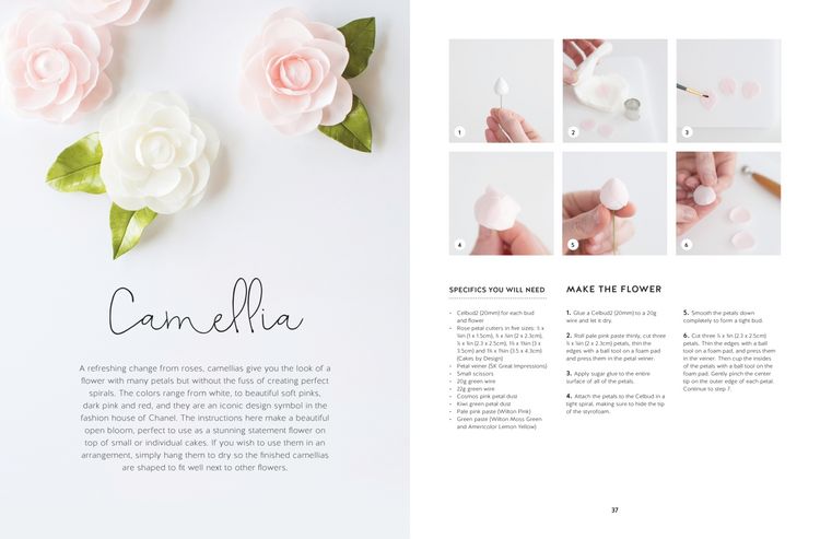 Produktbild: Modern Sugar Flowers