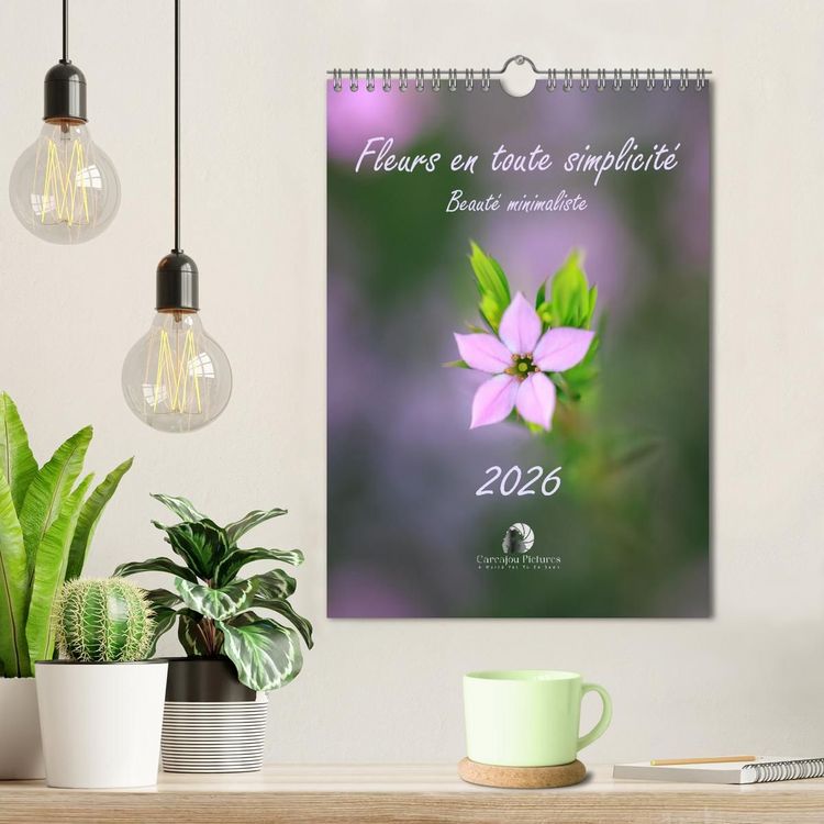 Produktbild: Fleurs en toute simplicit&eacute; - Beaut&eacute; minimaliste (Calendrier mural 2027 DIN A4 horizontal), CALVENDO calendrier mensuel