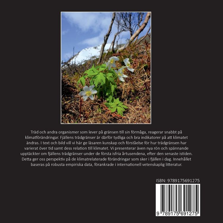 Produktbild: Tr&auml;dgr&auml;nsen