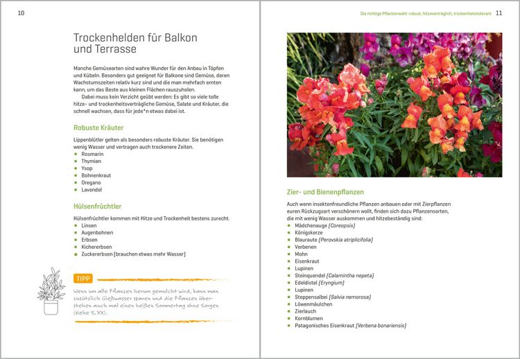 Produktbild: Balkong&auml;rtnern im Klimawandel