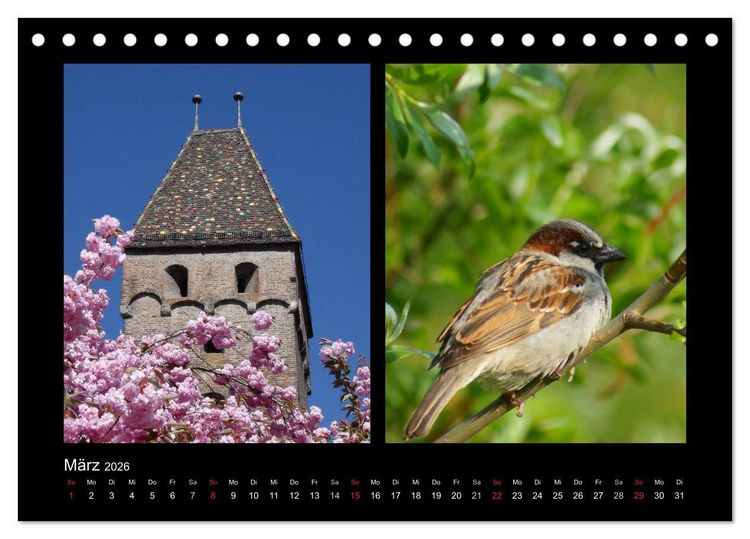 Produktbild: Ulmer Spatzen (Tischkalender 2026 DIN A5 quer), CALVENDO Monatskalender