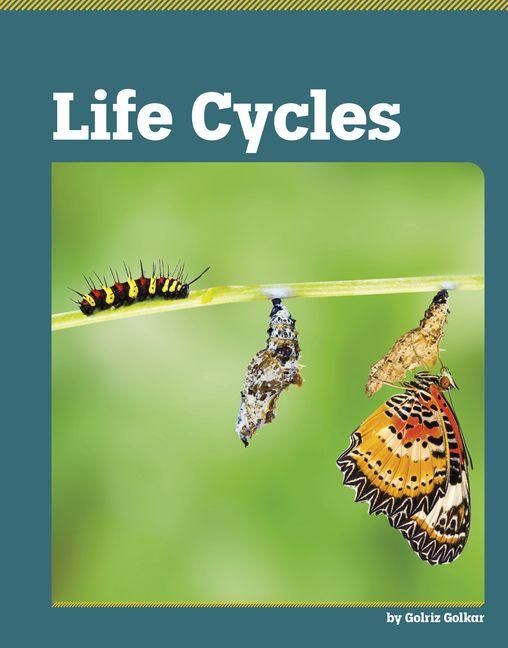 Produktbild: Life Cycles