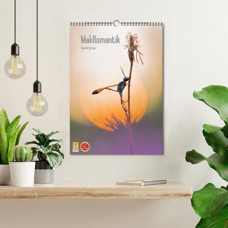 Produktbild: MakRomantik (Wandkalender 2026 DIN A3 hoch), CALVENDO Monatskalender