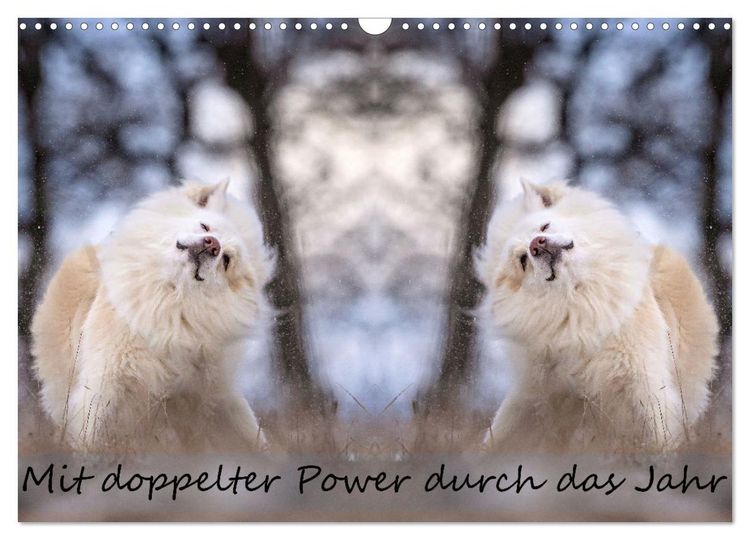 Produktbild: Mit doppelter Power durch das Jahr (Wandkalender 2026 DIN A3 quer), CALVENDO Monatskalender