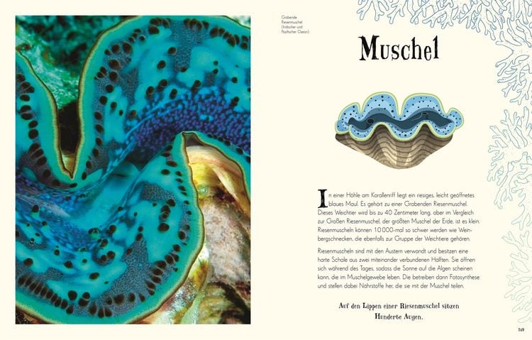 Produktbild: Wundervolle Welt der Natur