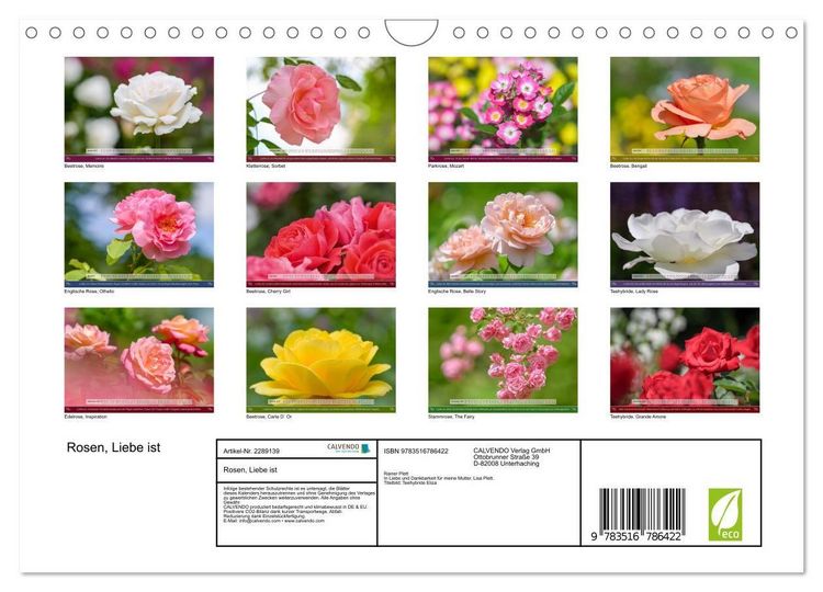 Produktbild: Rosen, Liebe ist (Wandkalender 2027 DIN A4 quer), CALVENDO Monatskalender