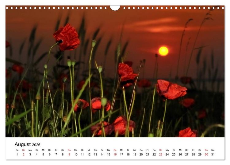 Produktbild: Insel R&uuml;gen Impressionen (Wandkalender 2026 DIN A3 quer), CALVENDO Monatskalender