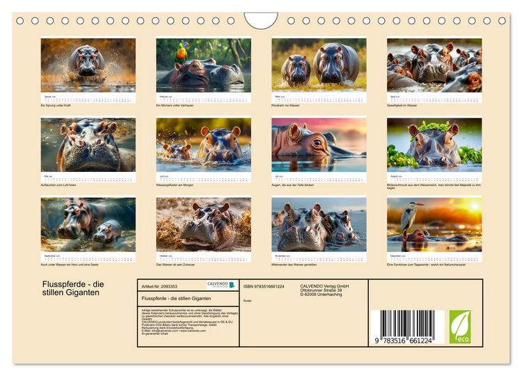 Produktbild: Flusspferde - die stillen Giganten (Wandkalender 2026 DIN A4 quer), CALVENDO Monatskalender
