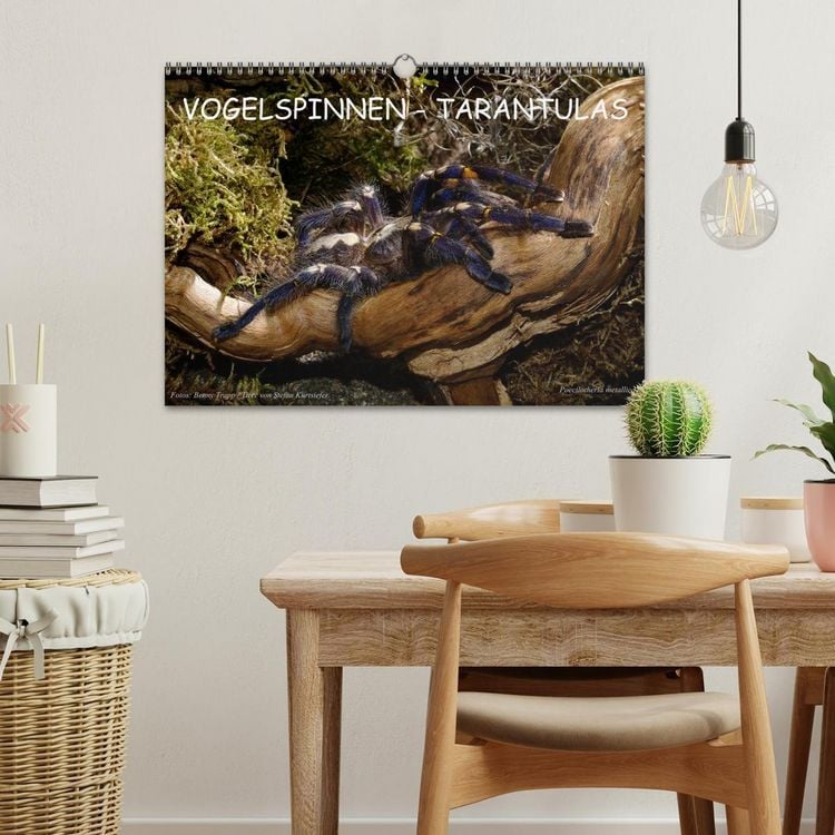 Produktbild: Vogelspinnen - Tarantulas (Wandkalender 2026 DIN A3 quer), CALVENDO Monatskalender