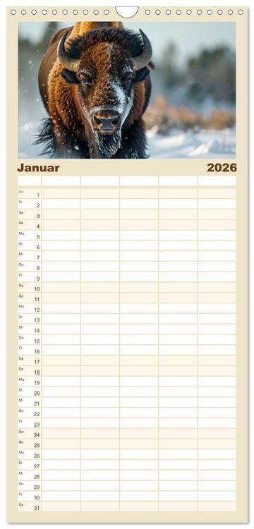 Produktbild: Familienplaner 2026 - B&uuml;ffel - Ikonen der Wildnis mit 5 Spalten (Wandkalender, 21 x 45 cm) CALVENDO