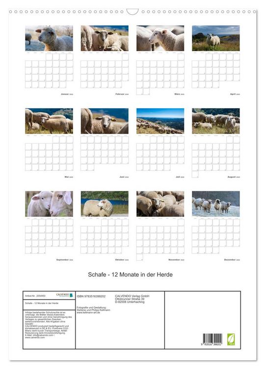 Produktbild: Schafe - 12 Monate in der Herde (Wandkalender 2026 DIN A2 hoch), CALVENDO Monatskalender