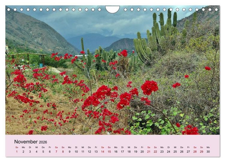 Produktbild: Venezuela - Natur pur Orinoco Delta und die Anden (Wandkalender 2026 DIN A4 quer), CALVENDO Monatskalender