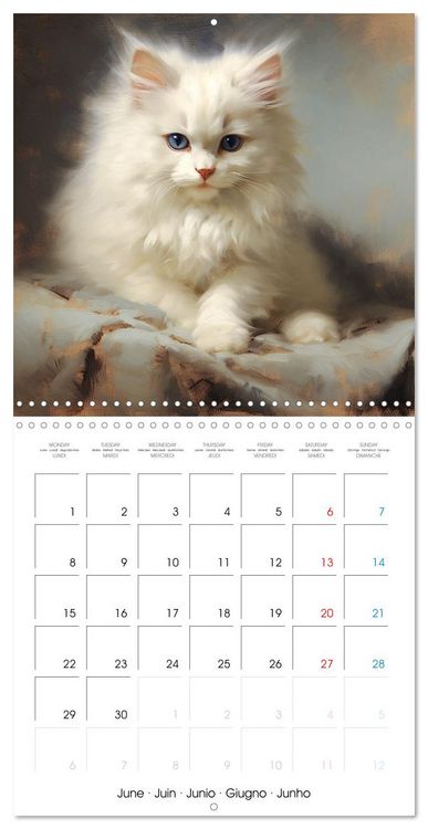 Produktbild: Illustrations Chatons (Calendrier mural carr&eacute; 2026 30x30 cm) Calendrier double avec une page pour vos prises de notes