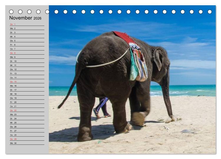 Produktbild: Elefanten. Spa&szlig; am Wasser (Tischkalender 2026 DIN A5 quer), CALVENDO Monatskalender