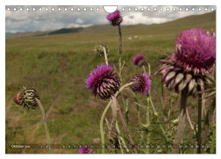 Produktbild: Mongolei - weites Land (Wandkalender 2026 DIN A4 quer), CALVENDO Monatskalender