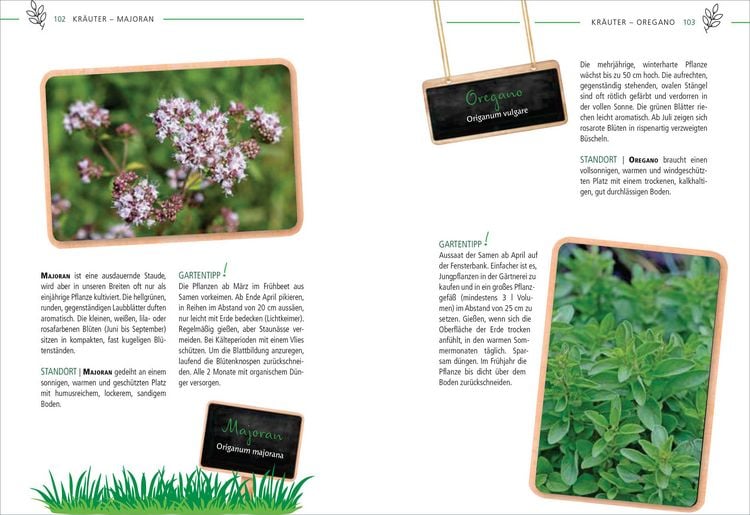Produktbild: Die 100 besten Pflanzen f&uuml;r V&ouml;gel, Bienen, Schmetterlinge