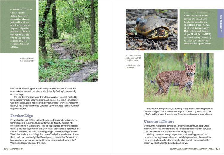 Produktbild: Wild Dfw
