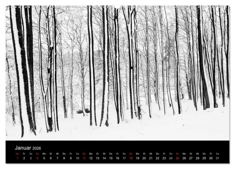 Produktbild: Gesehen auf - R&uuml;gen und Hiddensee (hochwertiger Premium Wandkalender 2026 DIN A2 quer), Kunstdruck in Hochglanz