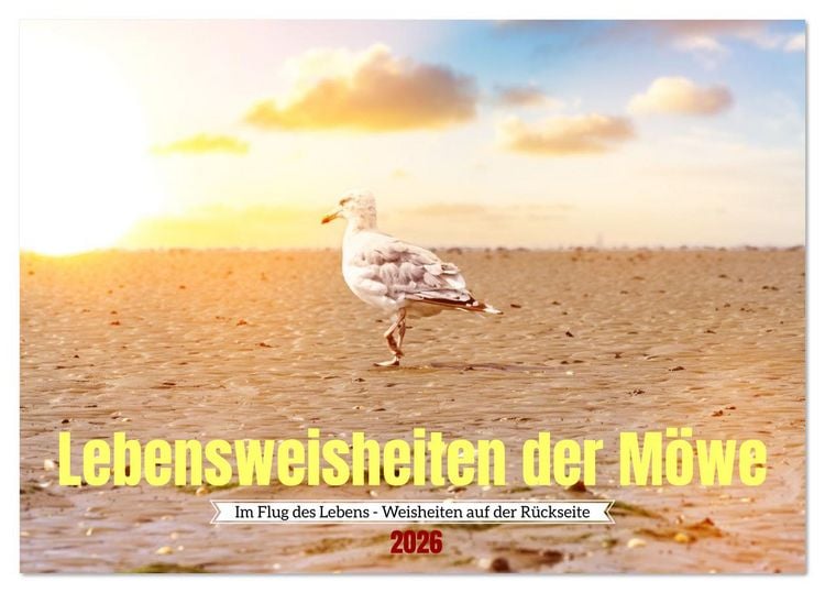 Produktbild: Lebensweisheiten der M&ouml;we - Im Flug des Lebens (Tischkalender 2026 DIN A5 quer), CALVENDO Monatskalender