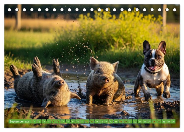 Produktbild: Muddi Buddies &ndash; Freundschaft im Matsch (Tischkalender 2026 DIN A5 quer), CALVENDO Monatskalender