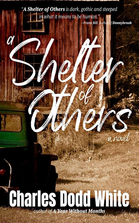 Produktbild: A Shelter of Others