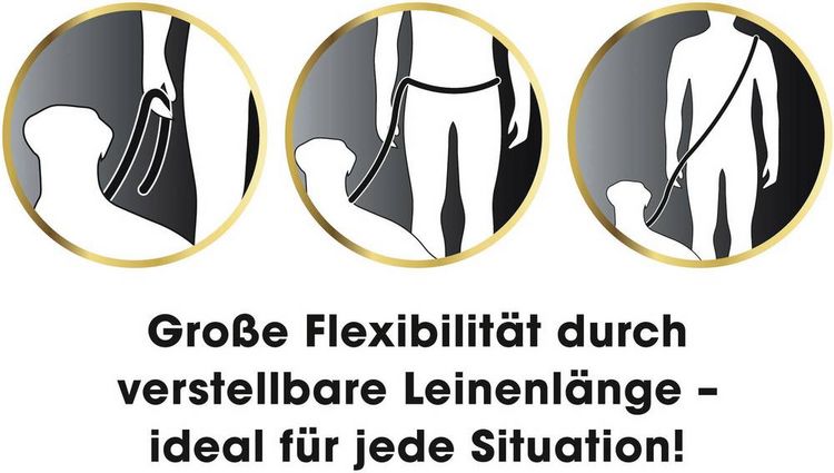 Produktbild: GoLeyGo Hundeleine & Halsband S schwarz