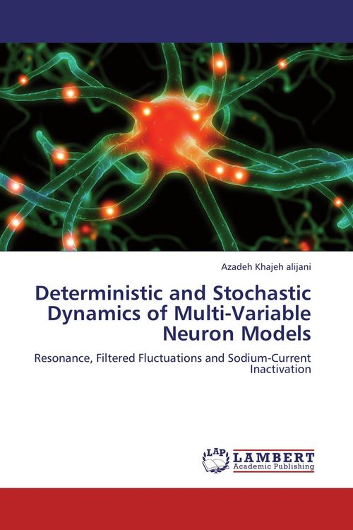 Produktbild: Deterministic and Stochastic Dynamics of Multi-Variable Neuron Models