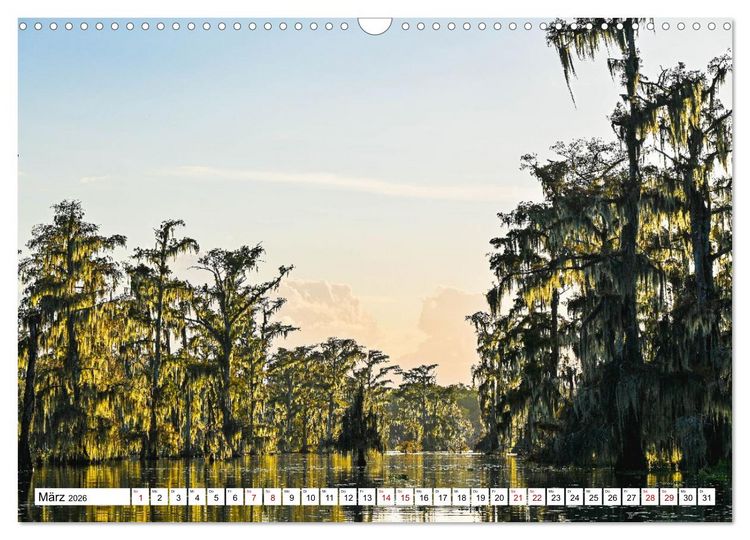 Produktbild: Louisiana - S&uuml;mpfe und Plantagenh&auml;user (Wandkalender 2026 DIN A3 quer), CALVENDO Monatskalender
