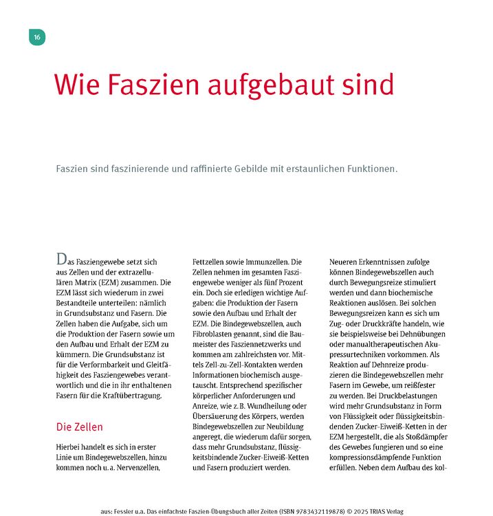 Das einfachste Faszien-Übungsbuch aller Zeiten