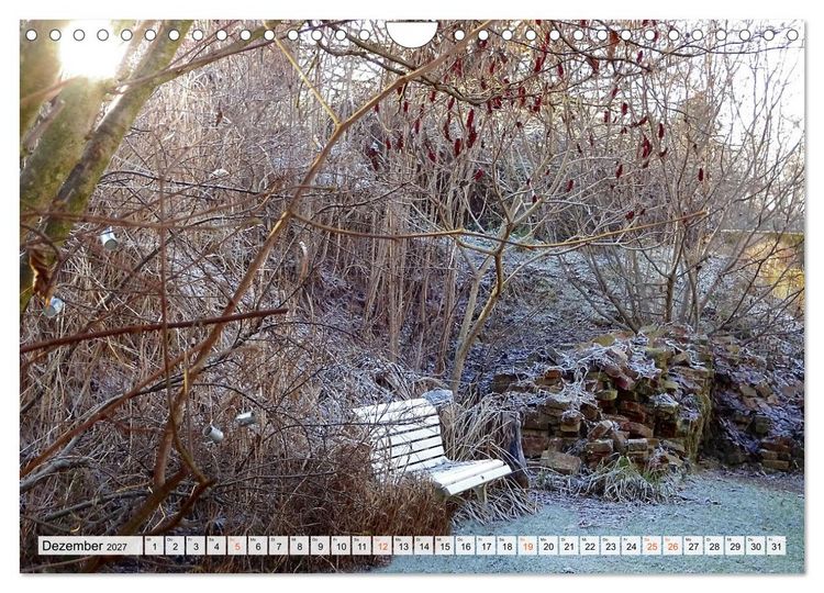 Produktbild: Momente im Garten (Wandkalender 2027 DIN A4 quer), CALVENDO Monatskalender