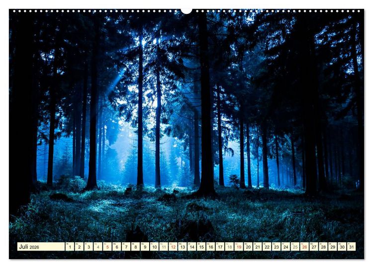 Produktbild: Mystische W&auml;lder - Zauber der Natur (hochwertiger Premium Wandkalender 2026 DIN A2 quer), Kunstdruck in Hochglanz